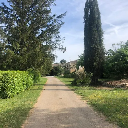 Le 270 Jungle Grane