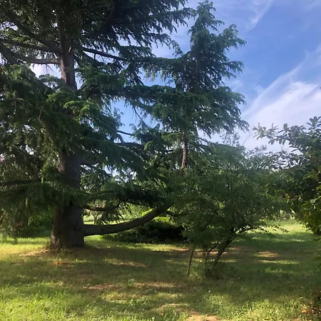 Σπίτι διακοπών Le 270 Jungle
