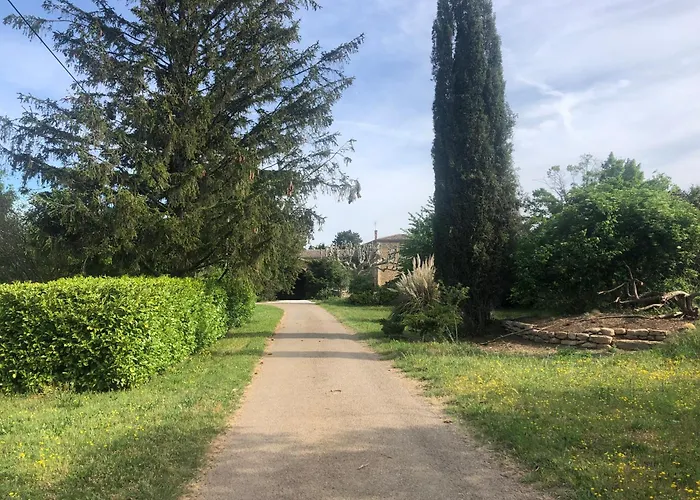 Le 270 Jungle Grane